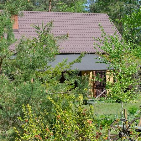 Gospodarstwo Agroturystyczne Nad Jeziorem Wsrod Lasow Lipnica  Exterior foto