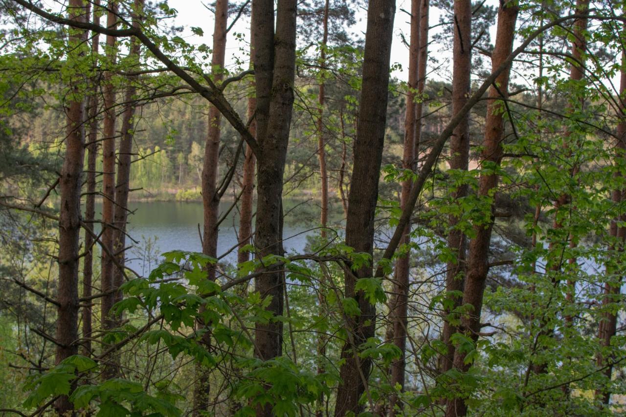 Gospodarstwo Agroturystyczne Nad Jeziorem Wsrod Lasow Lipnica  Exterior foto